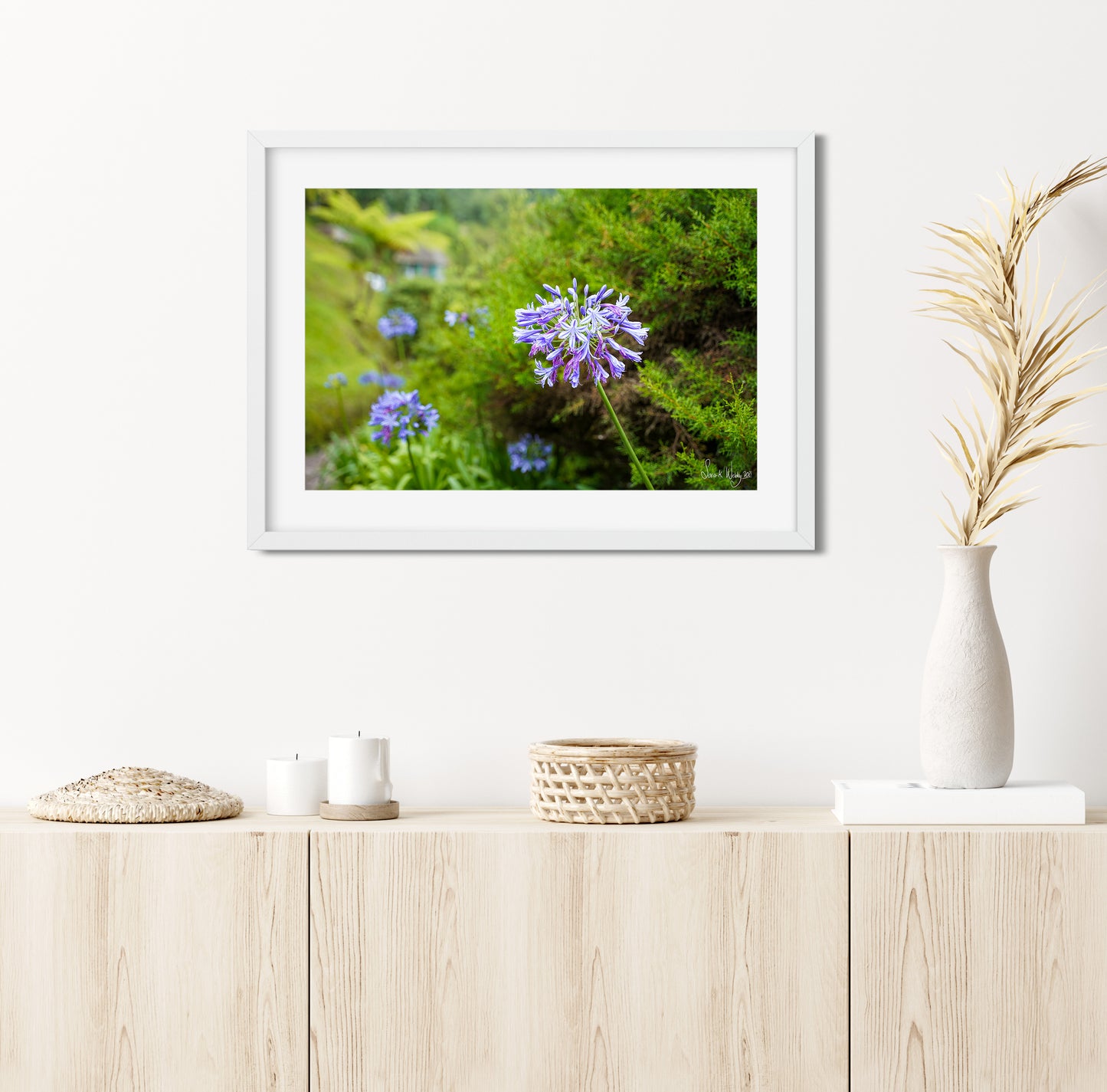 Tranquil Blooms - Blue Lily Serenity at Holywell Cabin Print