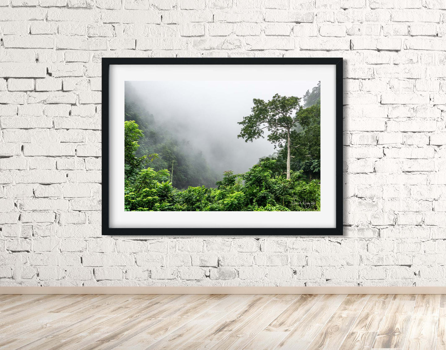 Mystical Morning Fog - Jamaican Mountain Landscape Print