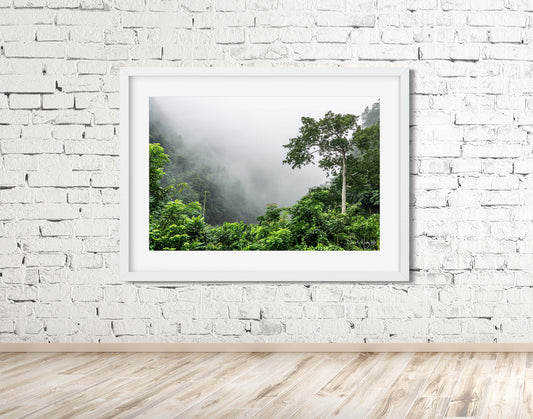 Mystical Morning Fog - Jamaican Mountain Landscape Print